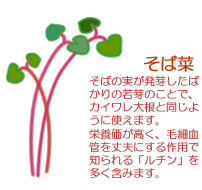 野菜たっぷり和風焼きそば