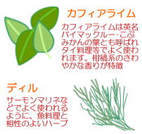 ハーブのえびサラダ